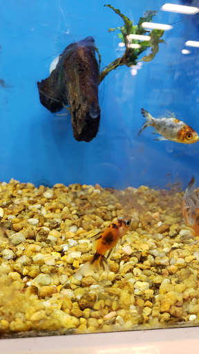 Pet Supply Store «Petco Animal Supplies», reviews and photos, 3115 Iowa St, Lawrence, KS 66046, USA