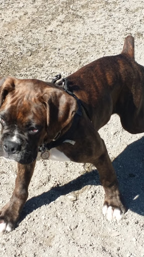 Park «Luther Burbank Park», reviews and photos, 2040 84th Ave SE, Mercer Island, WA 98040, USA