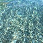 Photo n°2 de l'avis de Andrea.n fait le 07/07/2019 à 07:44 sur le  Ristoro Il Pozzallo à Lentiscosa