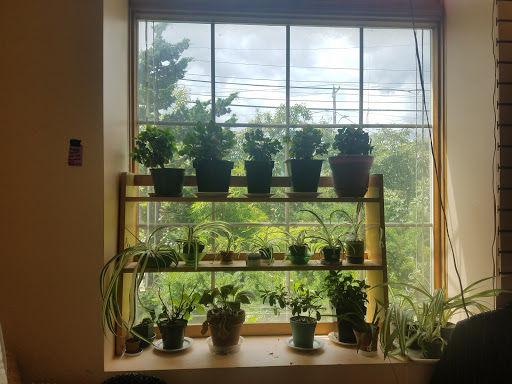 Consignment Shop «Battery Street Jeans Exchange», reviews and photos, 115 College St, Burlington, VT 05401, USA