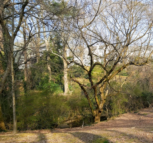 Park «Frankie Allen Park», reviews and photos, 100 Bagley St NE, Atlanta, GA 30305, USA