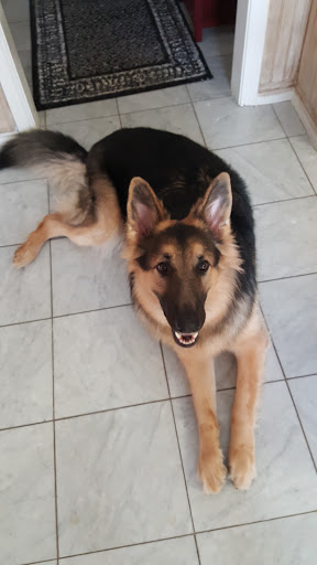 Pet Supply Store «Petco Animal Supplies», reviews and photos, 1250 William D Tate Ave #200, Grapevine, TX 76051, USA