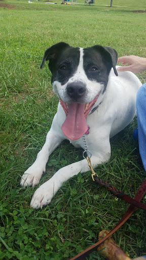 Park «Cumberland Park», reviews and photos, 592 S 1st St, Nashville, TN 37213, USA