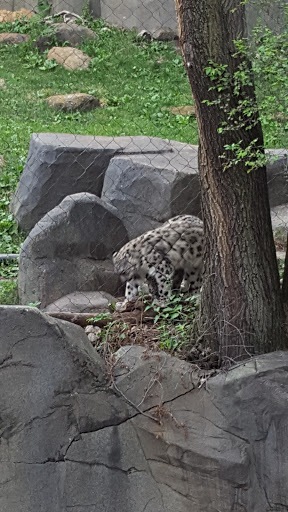 Zoo «Fragile Desert», reviews and photos, 3300 Golf Rd, Brookfield, IL 60513, USA