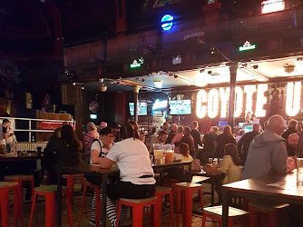 Coyote Ugly Saloon