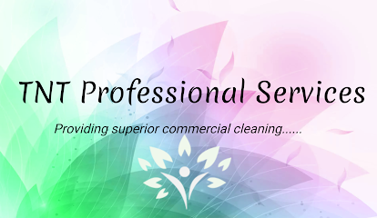 TNT Professional Services