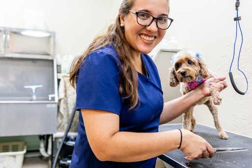 Pet Groomer «ITIG Happy Dog Wash», reviews and photos, 6465 S Chickasaw Trail, Orlando, FL 32829, USA