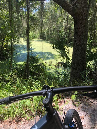 Park «Alafia River State Park», reviews and photos, 14326 S County Rd 39, Lithia, FL 33547, USA