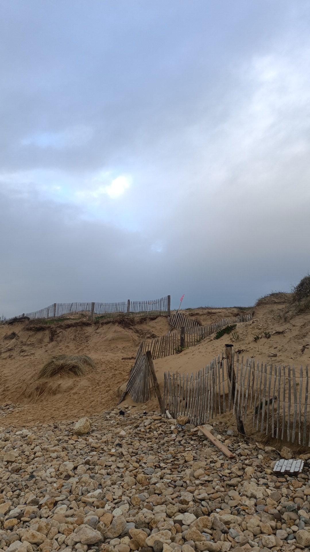 Photo n° 2 de l'avis de Malo.' fait le 28/12/2023 à 15:30