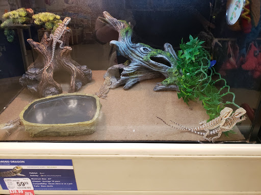 Pet Supply Store «PetSmart», reviews and photos, 4056 Atlanta Hwy, Loganville, GA 30052, USA