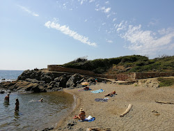Plage Parc Areca的照片 带有一个小海湾