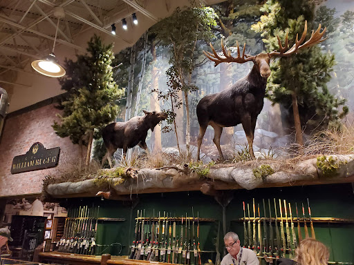 Shopping Mall «Patriot Place», reviews and photos, 2 Patriot Pl, Foxborough, MA 02035, USA