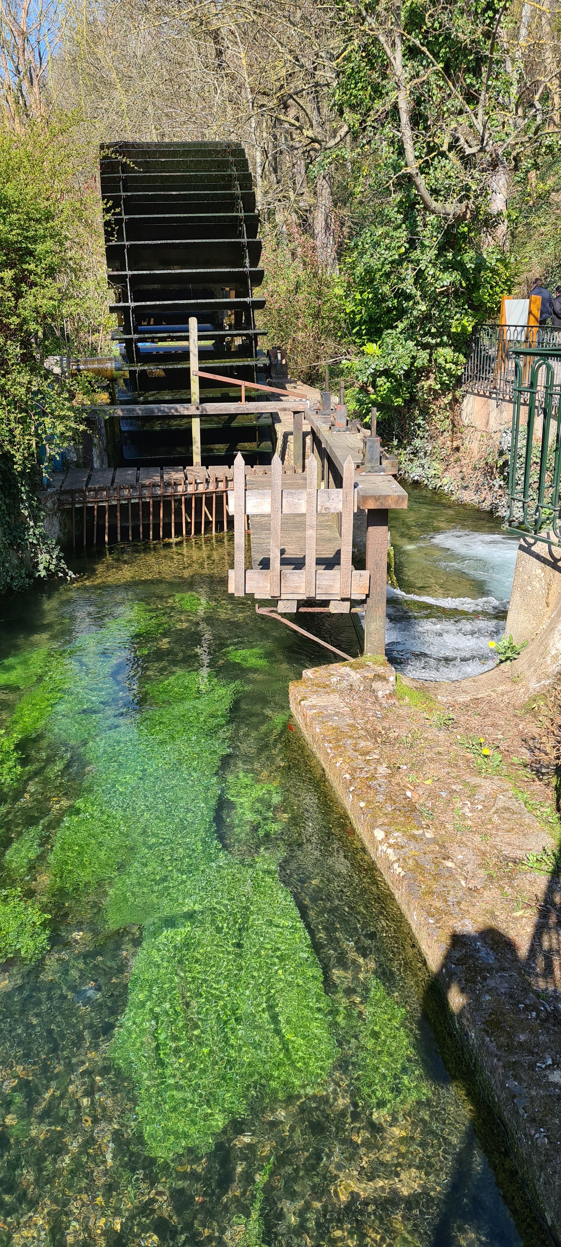 Photo n° 3 de l'avis de Taormina.a fait le 24/03/2022 à 16:22