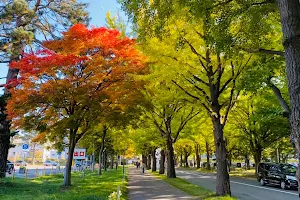 Hokkaido University image