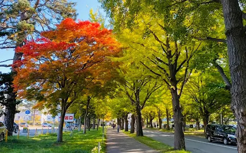 Hokkaido University image