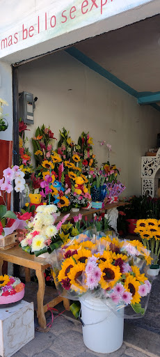 Dalia Floreria – Asunción Nochixtlán