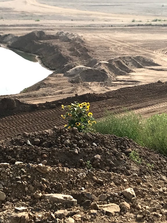 Kieswerk LORENZHOF Buhs und Schülgen GmbH & Co. Kommanditgesellschaft