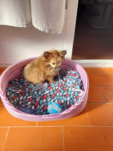 Centro Veterinario Tíscar en Madrid