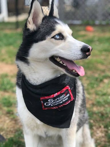 Gun Shop «Superior Gunsmithing & Custom Shop LLC.», reviews and photos, 15 N Robeson St, Robesonia, PA 19551, USA