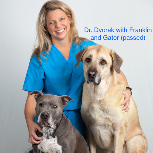 CARE | Charlotte Animal Referral & Emergency image