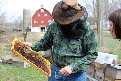 Nature Preserve «Brunner Family Forest Preserve», reviews and photos, 18N681 State Rte 31, Carpentersville, IL 60110, USA