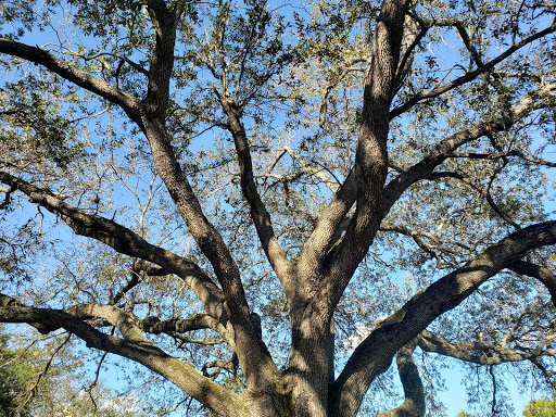 Golf Club «Miami Springs Golf & Country Club», reviews and photos, 650 Curtiss Pkwy, Miami Springs, FL 33166, USA