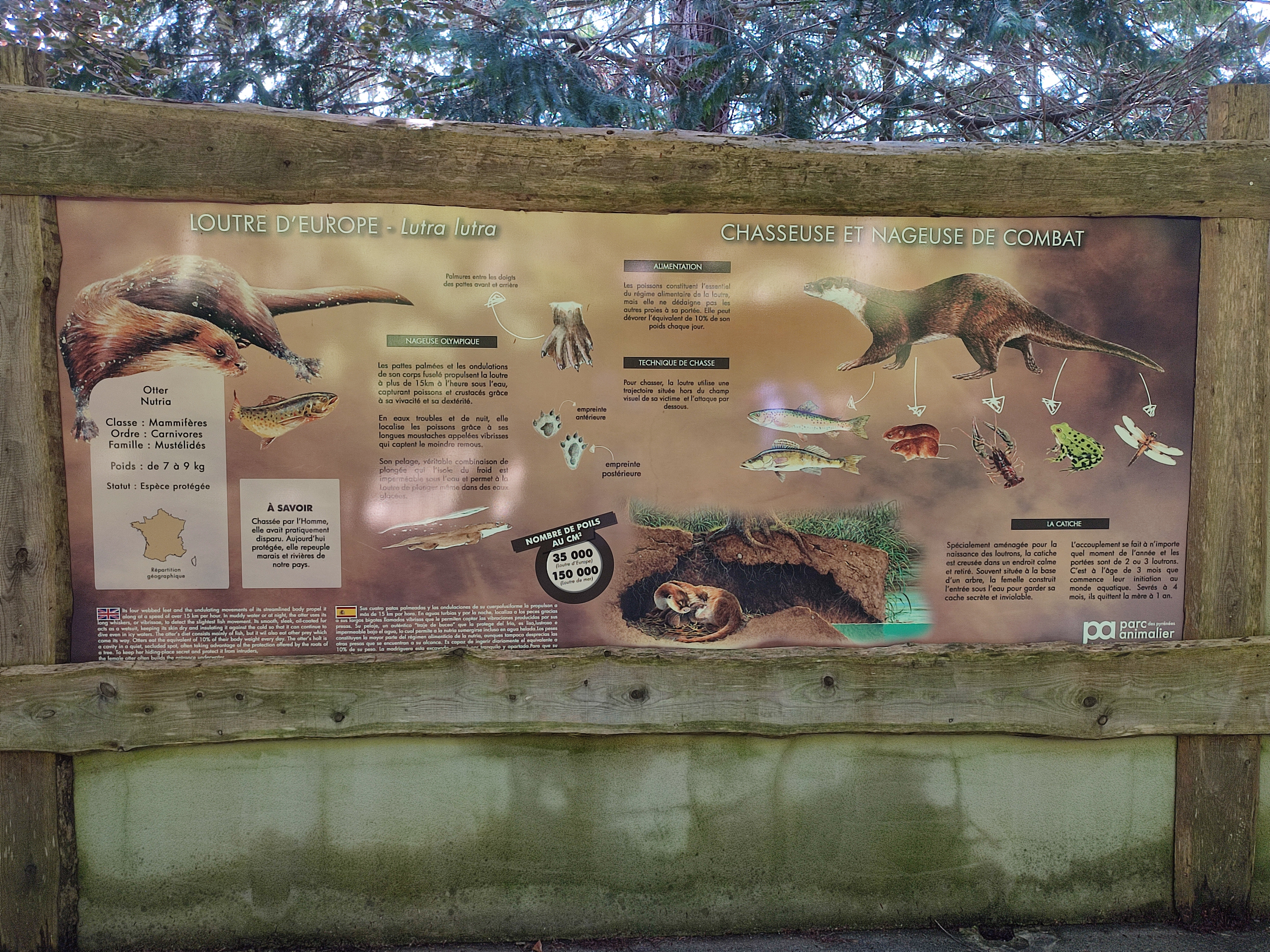 Photo n° 16 de l'avis de Julien.a fait le 02/06/2023 à 04:00