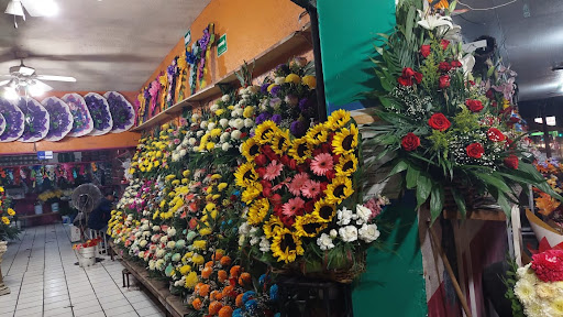 Galeria de flores – Piedras Negras
