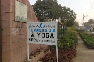The Wonderful Club image