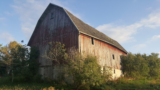 Rustic Revival Barnwood