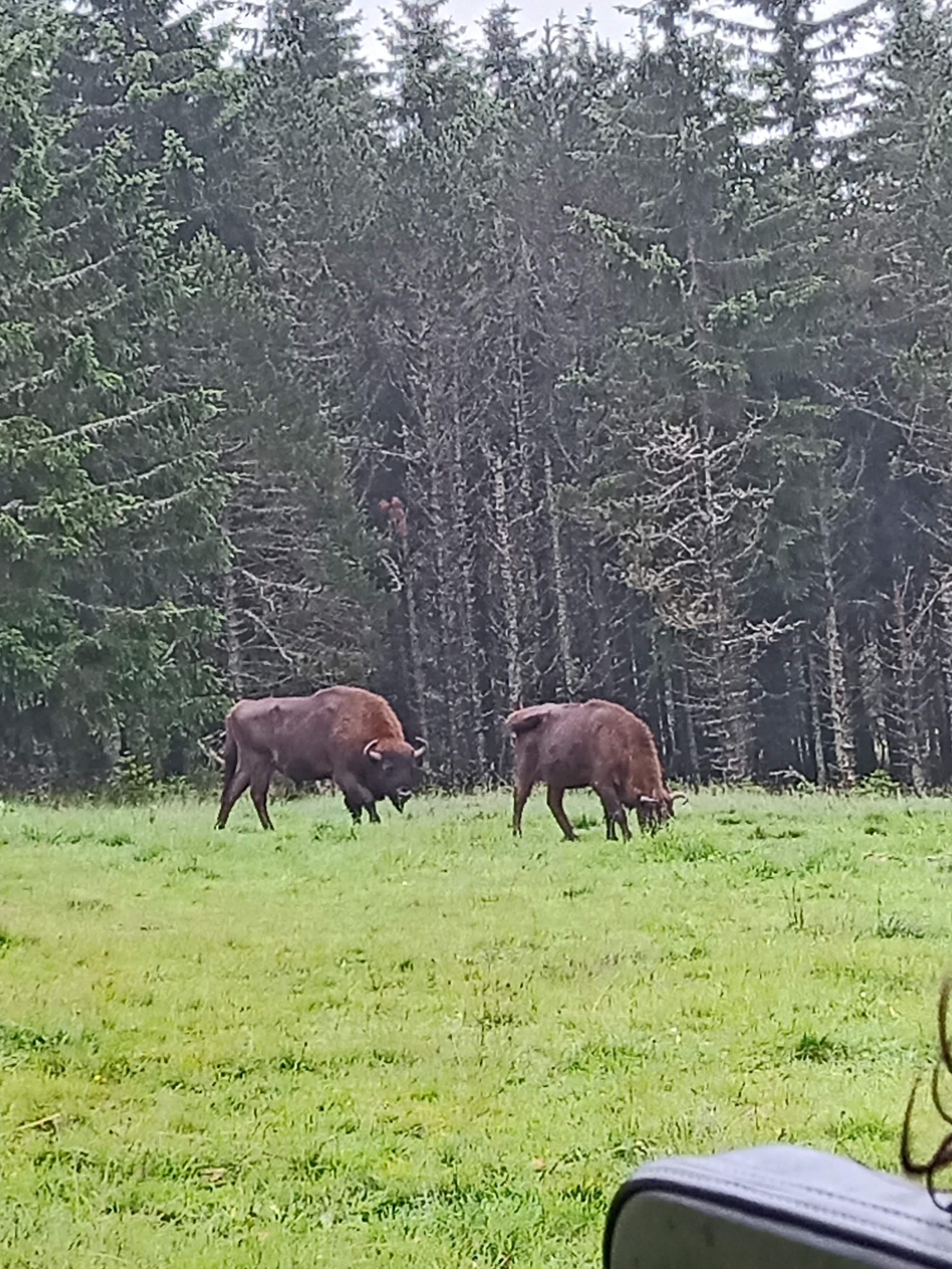 Photo n° 7 de l'avis de Marj.a fait le 18/07/2021 à 21:04