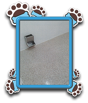 Pet Store «AA Ridgewood Kennels II», reviews and photos, 5401 Lincoln Hwy, Gap, PA 17527, USA