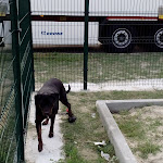 Photo n°3 de l'avis de Oscar.i fait le 14/10/2018 à 14:34 sur le  Autogrill Crocetta Sud à Quattordio