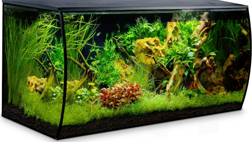 Pet Store «Pets Plus», reviews and photos, 454 TN-46, Dickson, TN 37055, USA