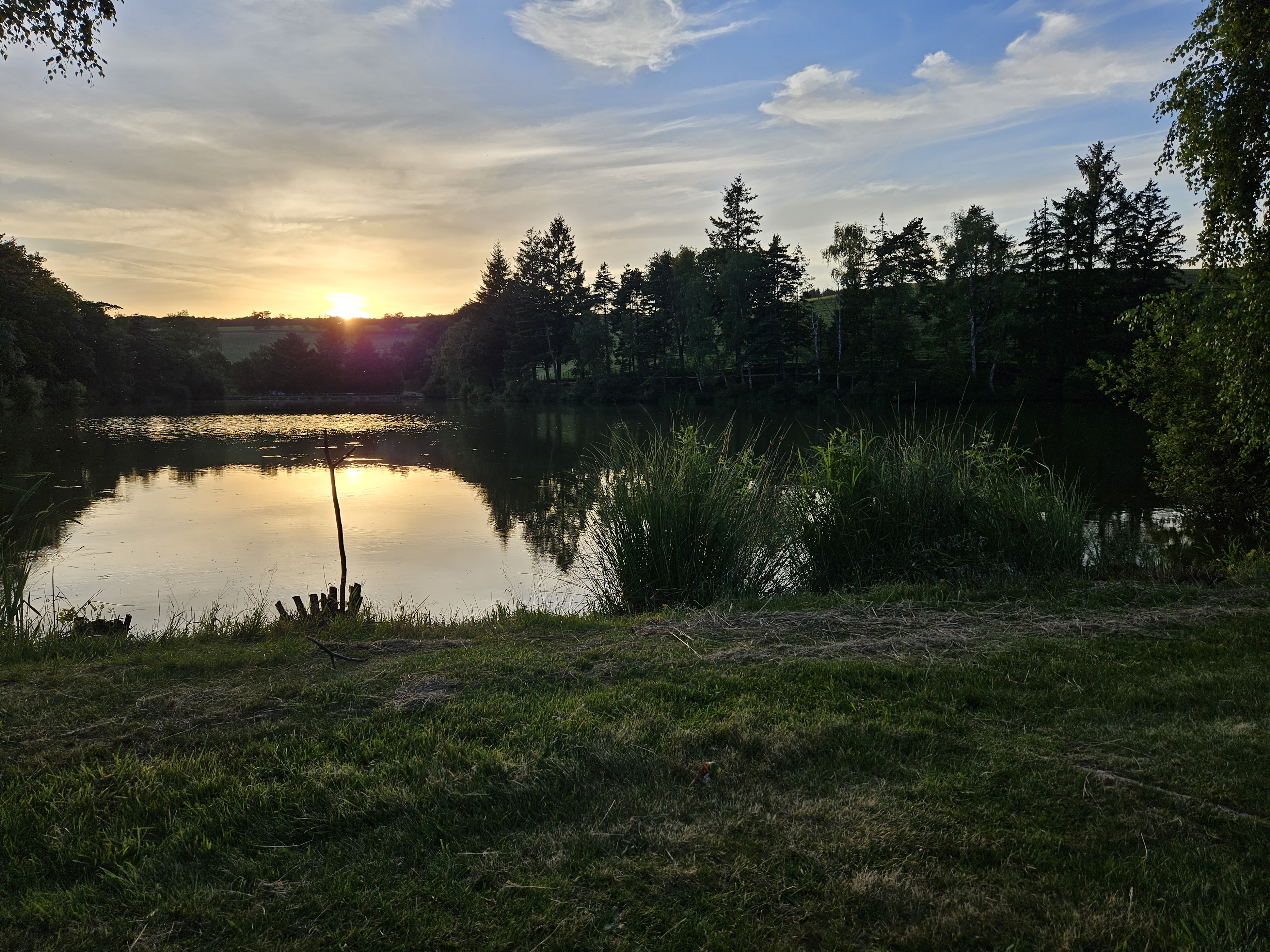 Photo n° 1 de l'avis de Hermann.h fait le 16/07/2023 à 07:06