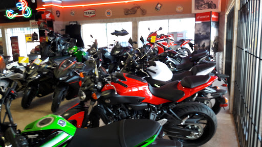 Motorcycle Dealer «McAllen Motor Sports», reviews and photos, 3608 N McColl Rd, McAllen, TX 78501, USA