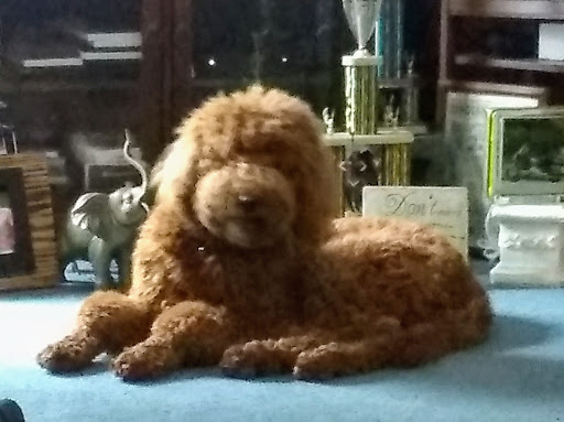 Pet Supply Store «PetSmart», reviews and photos, 1705 N Bechtle Ave, Springfield, OH 45504, USA