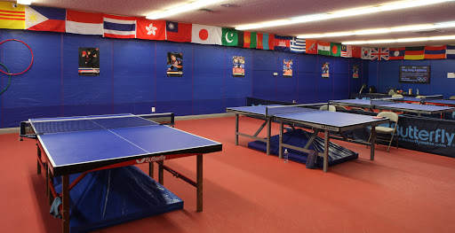 Allen & Sons Table Tennis Club