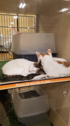 Pet Supply Store «PetSmart», reviews and photos, 3 McKenna Rd, Arden, NC 28704, USA