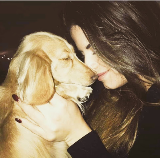 Drug Store «Walgreens», reviews and photos, 1300 E Hallandale Beach Blvd, Hallandale Beach, FL 33009, USA