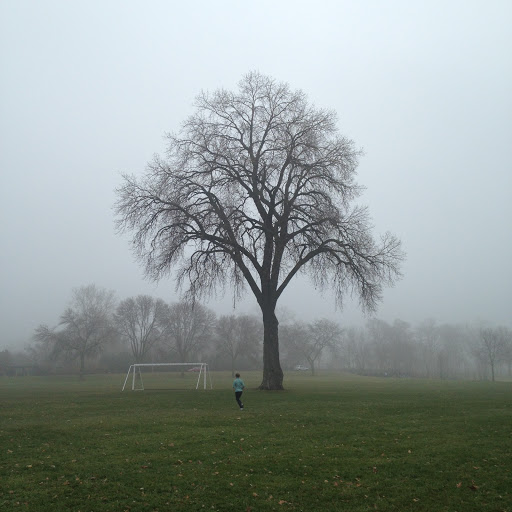 Botanical Garden «Olbrich Botanical Gardens», reviews and photos, 3330 Atwood Ave, Madison, WI 53704, USA