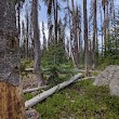 Sky Lakes Wilderness