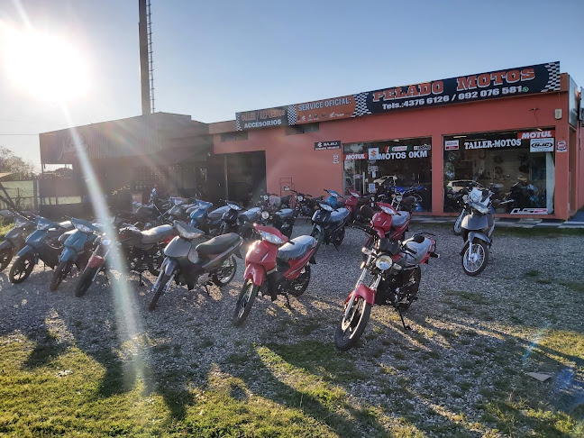 Pelado Motos - Tienda de motocicletas