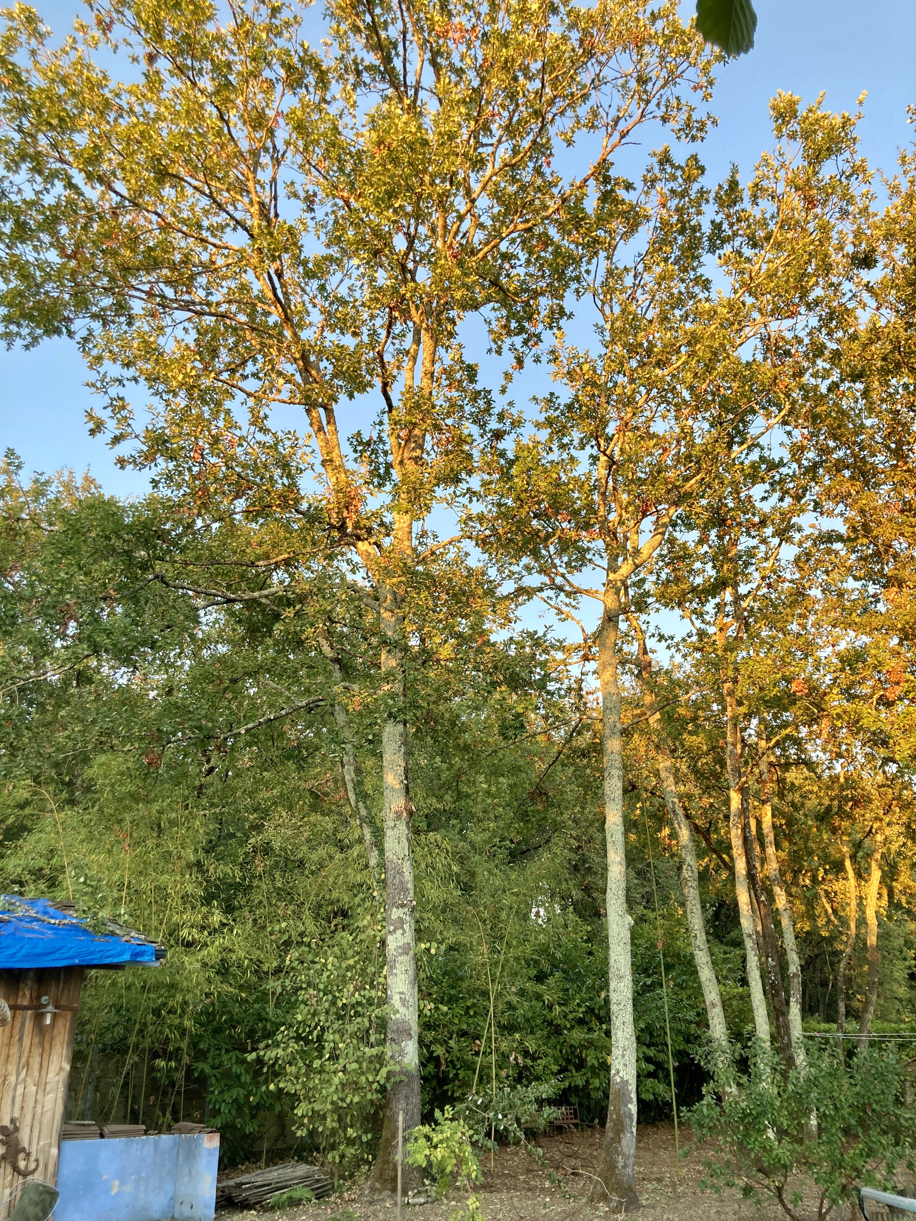 Photo n° 2 de l'avis de Ateliers.F fait le 19/09/2022 à 20:57