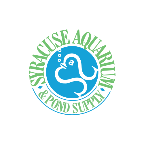 Aquarium «Syracuse Aquarium & Pond Supply», reviews and photos, 4618 North St, Jamesville, NY 13078, USA
