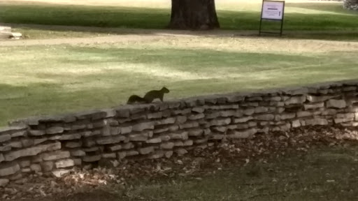 Museum «Texas Ranger Hall of Fame & Museum», reviews and photos, 100 Texas Ranger Trail, Waco, TX 76706, USA