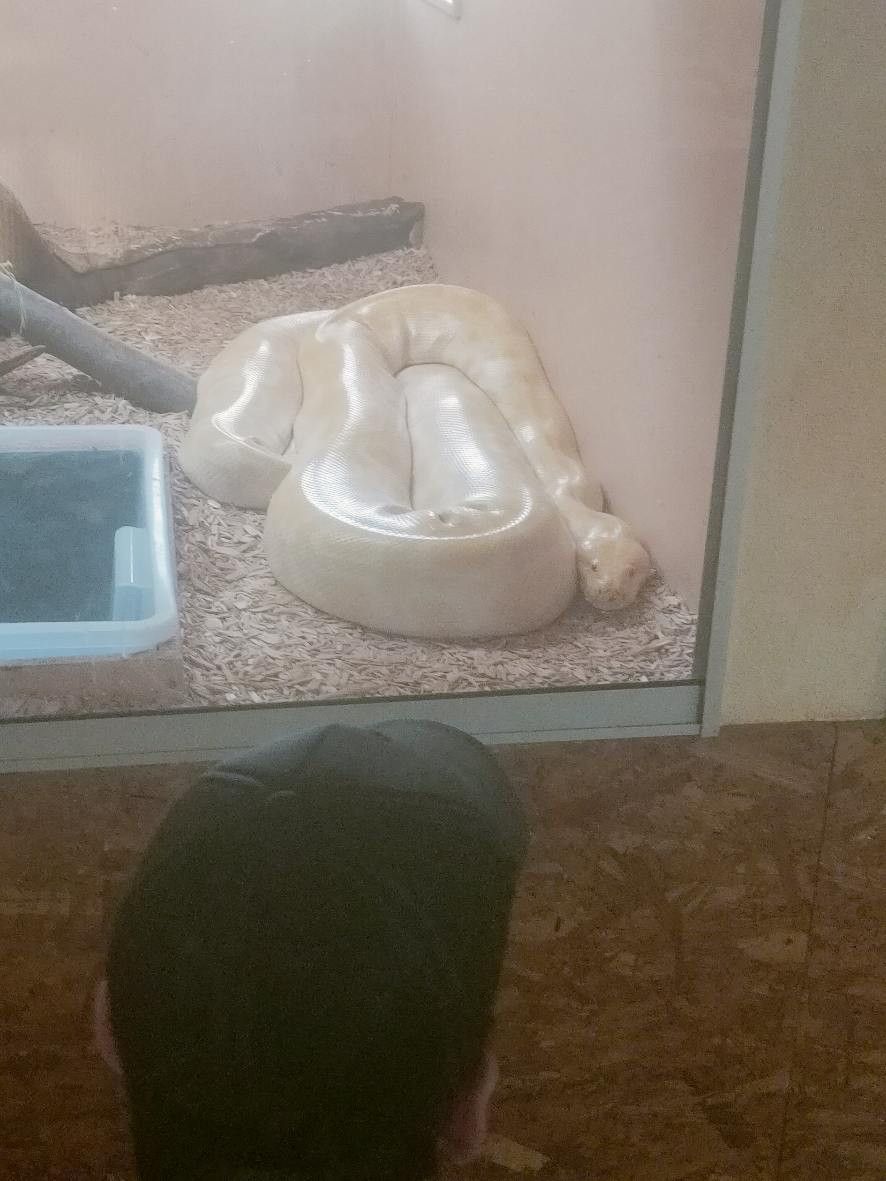 Photo n° 3 de l'avis de Karen.u fait le 03/01/2023 à 14:08