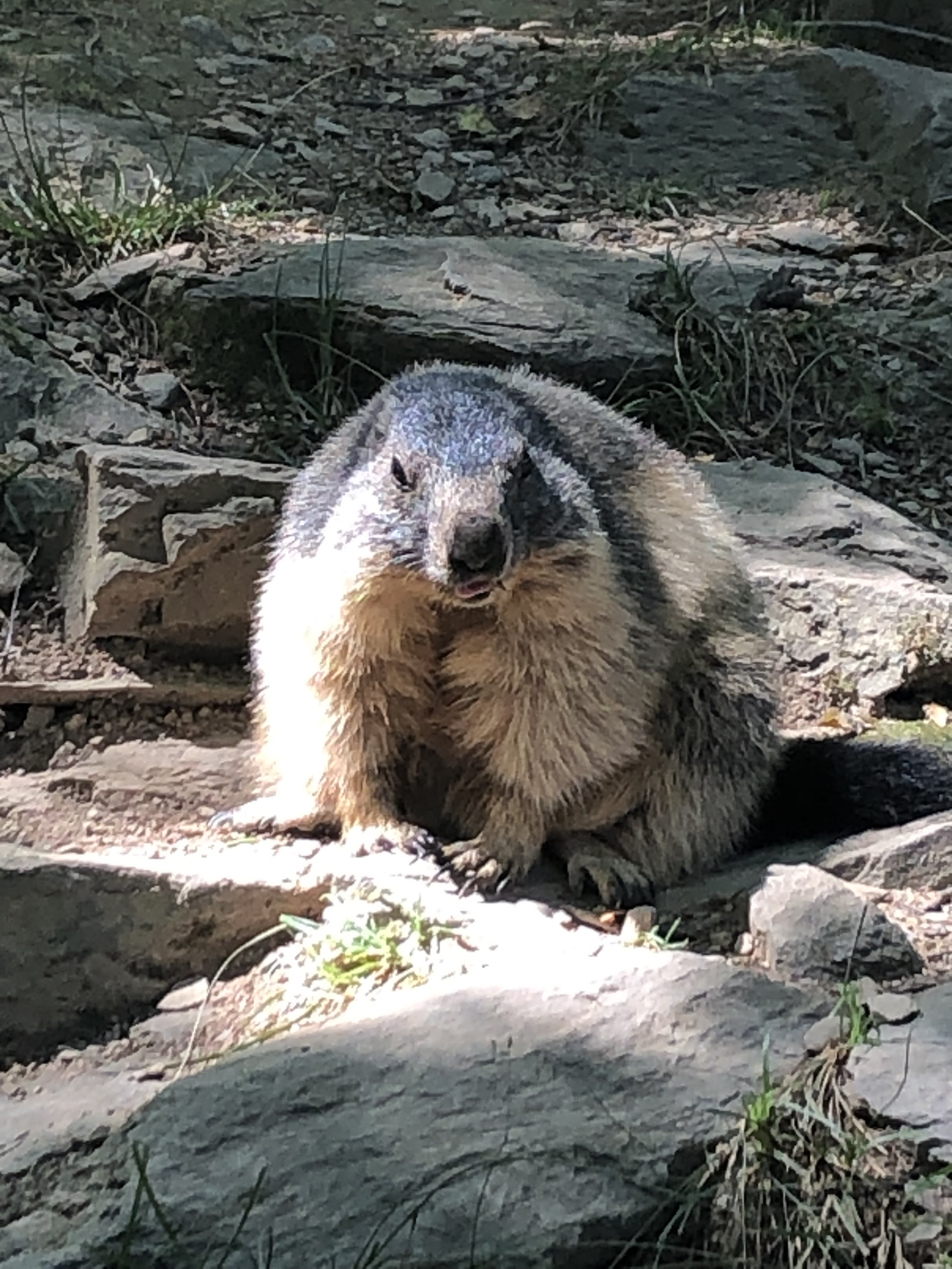 Photo n° 5 de l'avis de Laurence.E fait le 07/08/2023 à 14:35