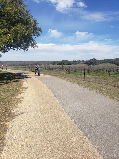 Vineyard «Texas Hills Vineyard», reviews and photos, 878 Ranch Rd 2766, Johnson City, TX 78636, USA