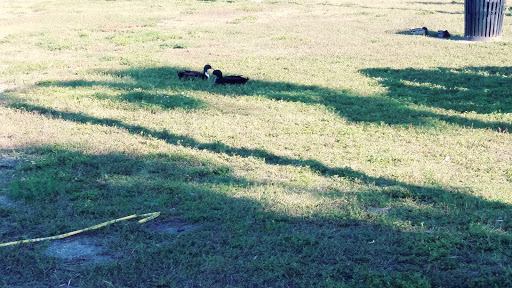 Cruise Agency «St Johns Rivership Co», reviews and photos, 433 N Palmetto Ave, Sanford, FL 32771, USA